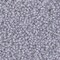 Miyuki 15/0 Round Seed Bead, 15-2209, Pale Violet Lined Crystal Luster